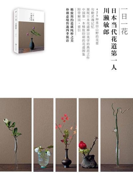 一日一花– 月来书房Finding Moon Bookstore